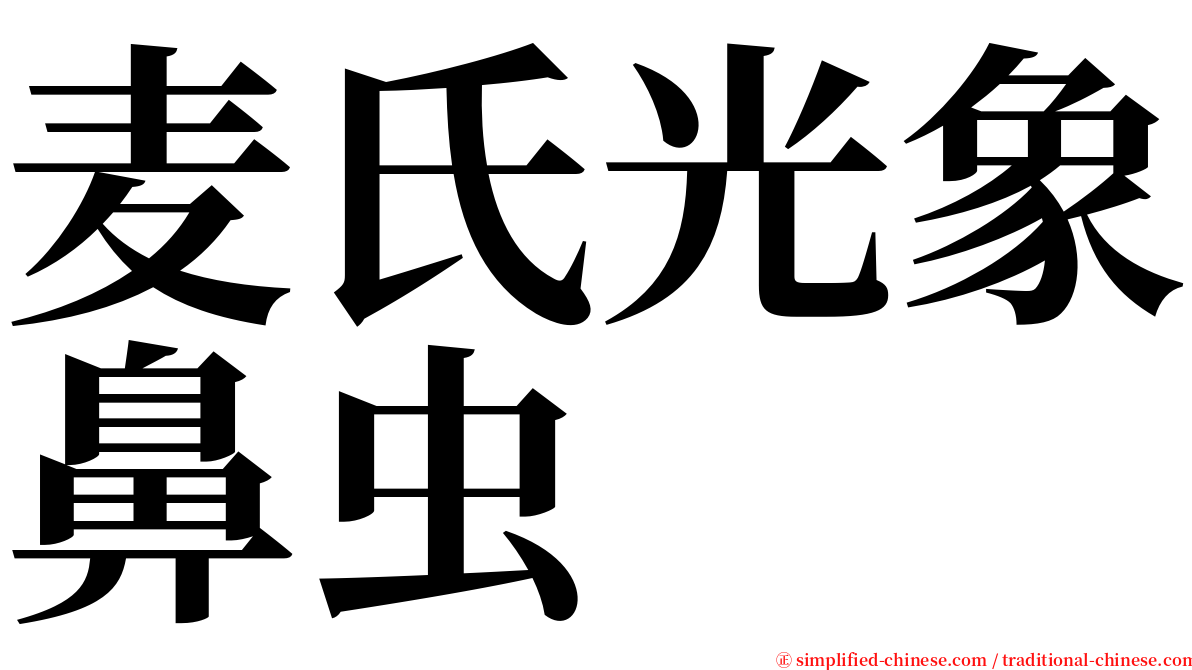 麦氏光象鼻虫 serif font