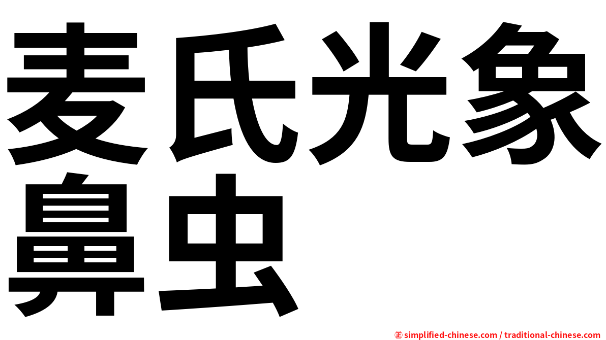 麦氏光象鼻虫