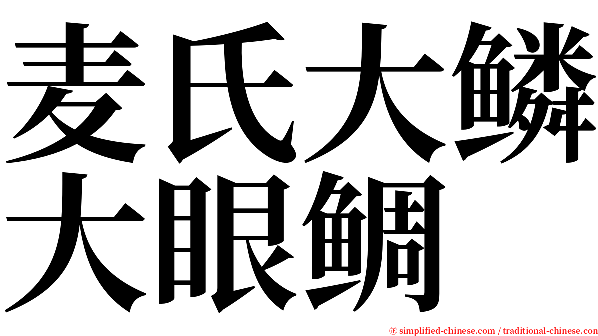 麦氏大鳞大眼鲷 serif font