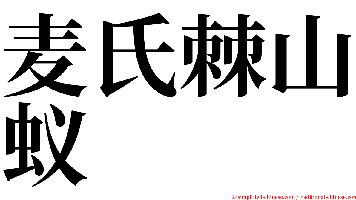 麦氏棘山蚁 serif font