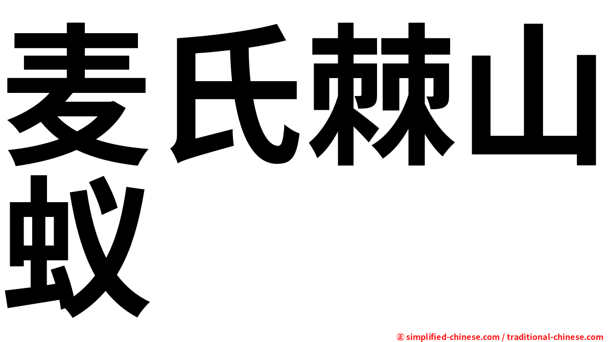 麦氏棘山蚁