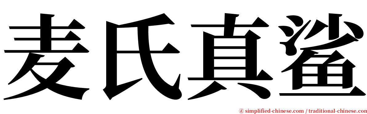 麦氏真鲨 serif font