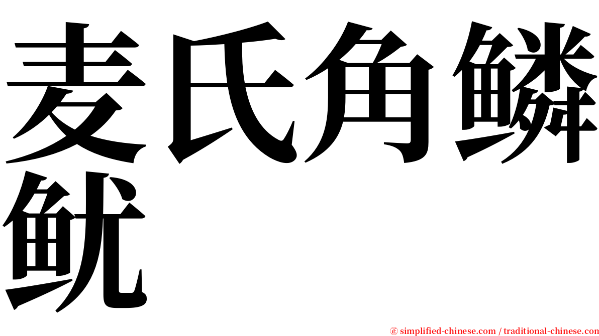麦氏角鳞鱿 serif font