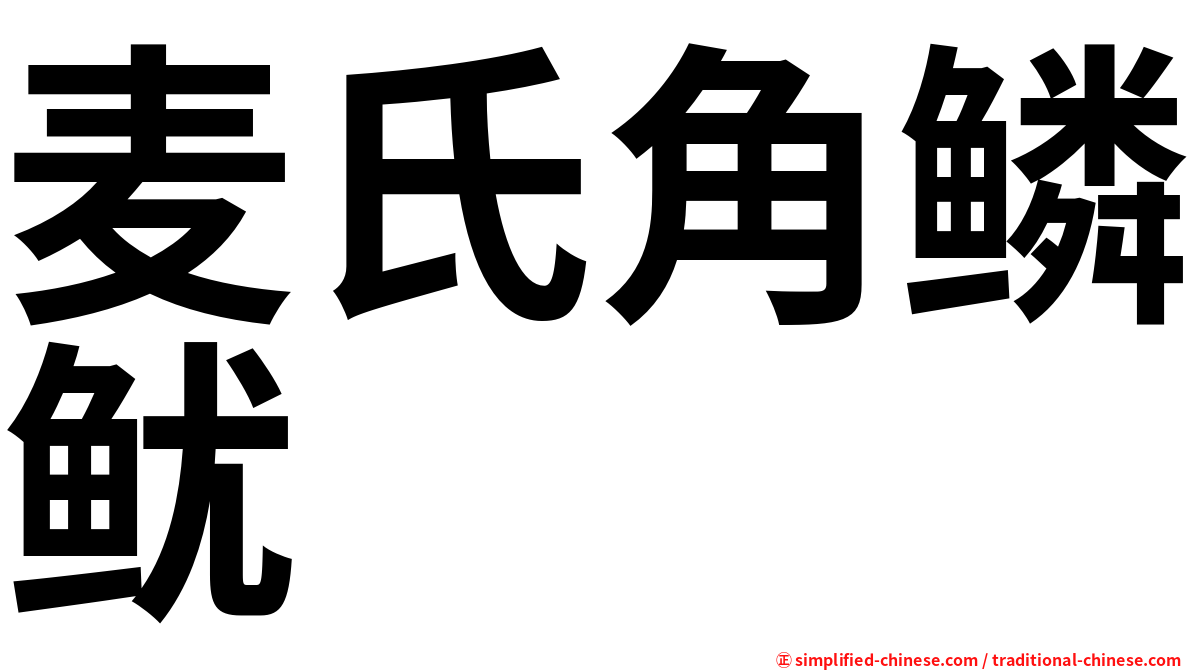 麦氏角鳞鱿