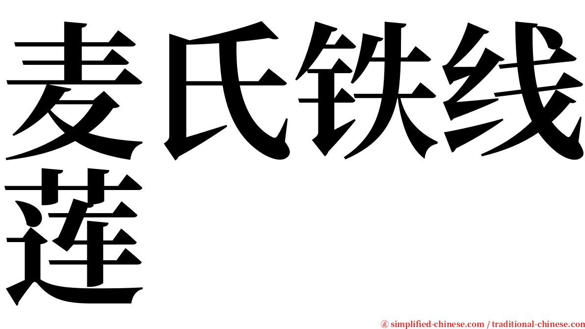 麦氏铁线莲 serif font
