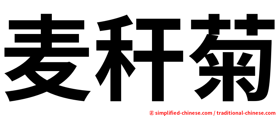 麦秆菊