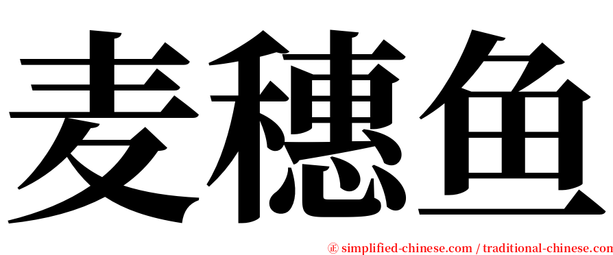 麦穗鱼 serif font