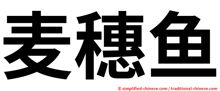 麦穗鱼