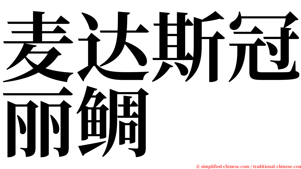 麦达斯冠丽鲷 serif font