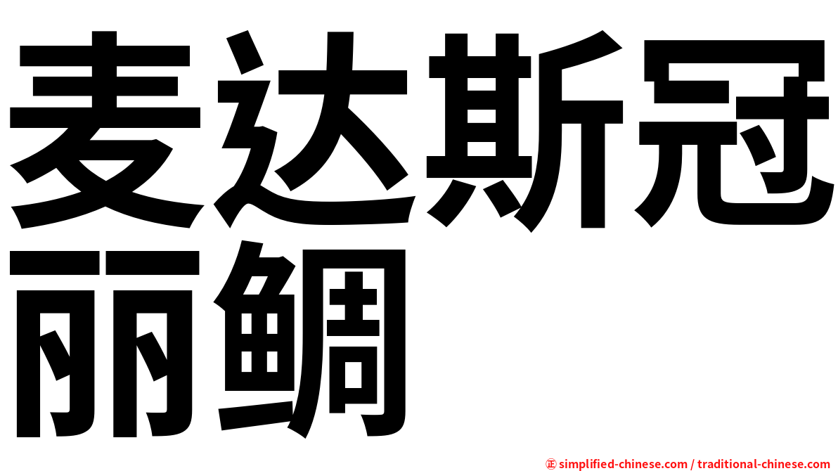 麦达斯冠丽鲷
