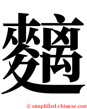 麶 serif font