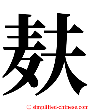 麸 serif font