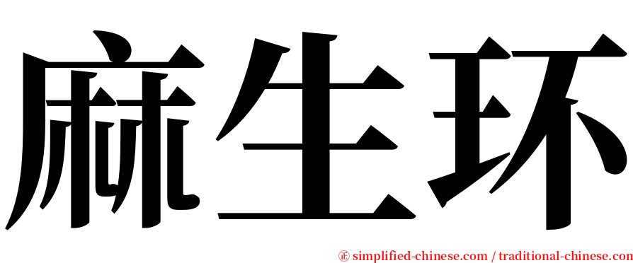 麻生环 serif font