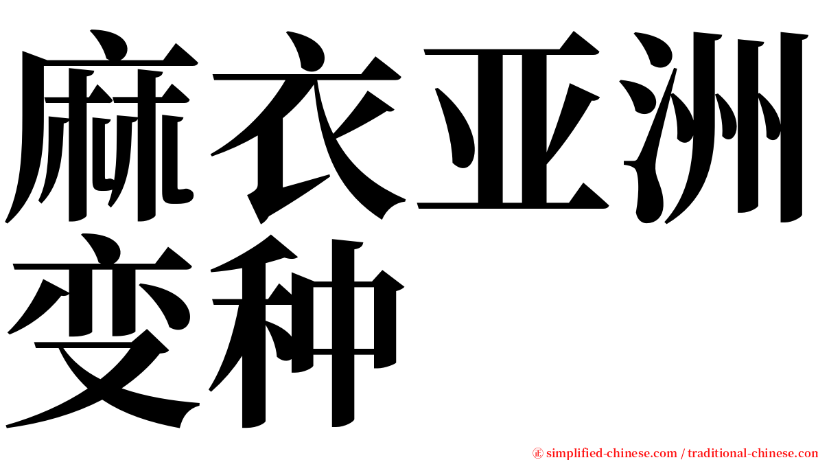 麻衣亚洲变种 serif font