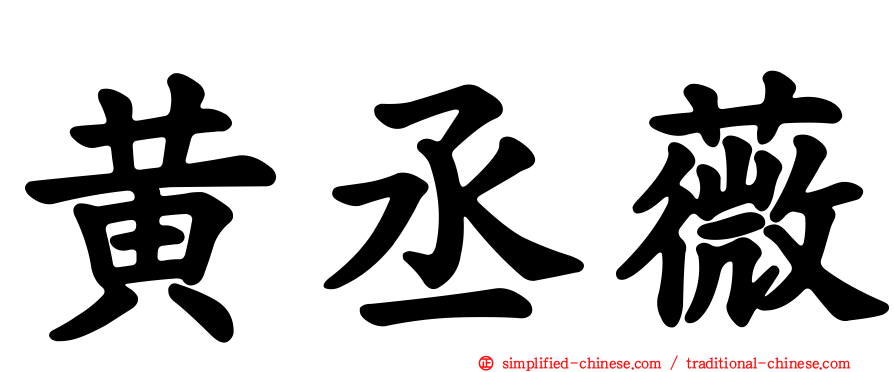 黄丞薇