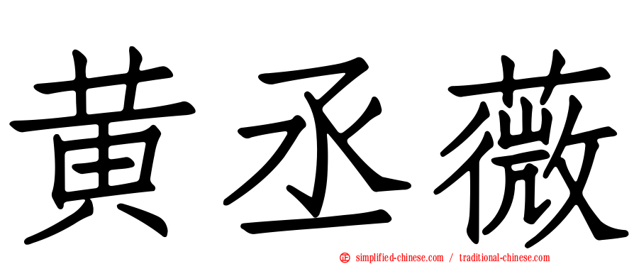 黄丞薇