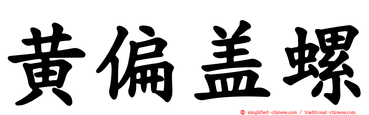 黄偏盖螺
