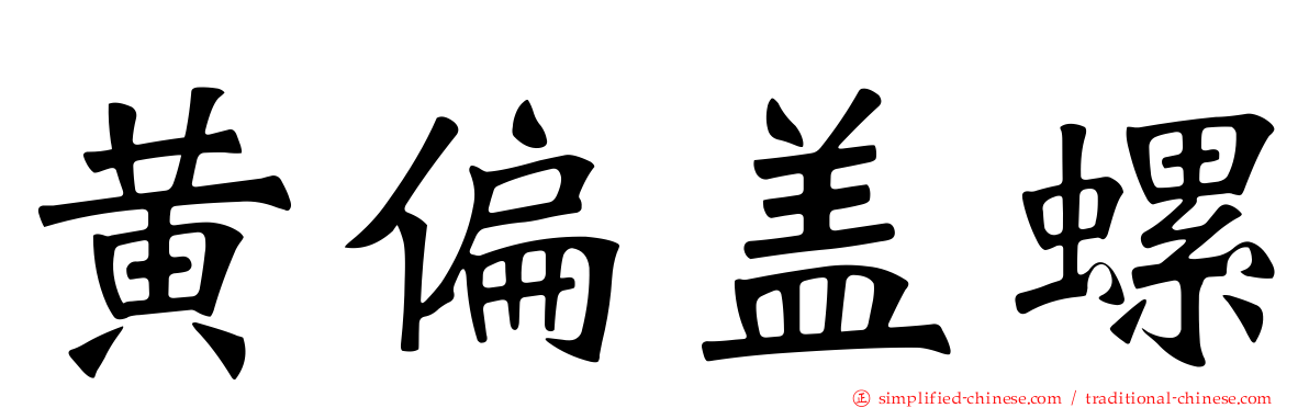黄偏盖螺