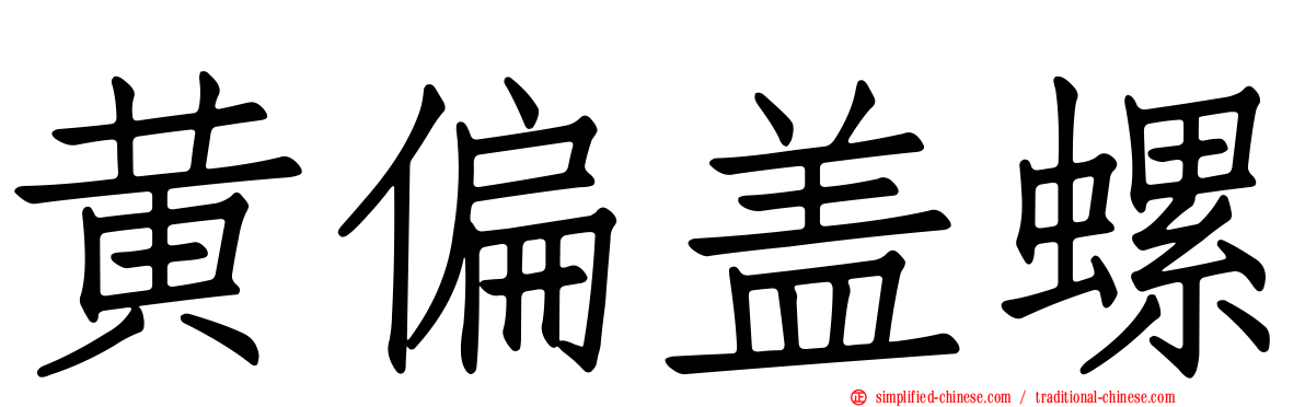 黄偏盖螺