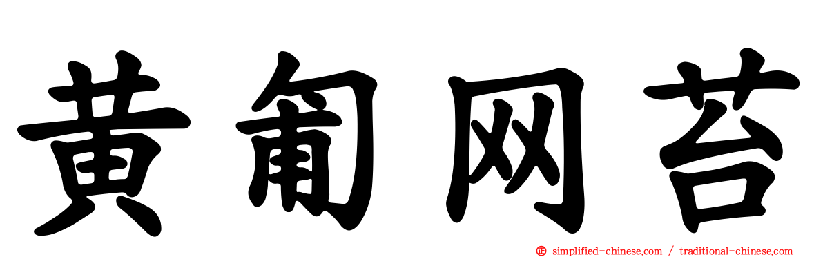 黄匍网苔