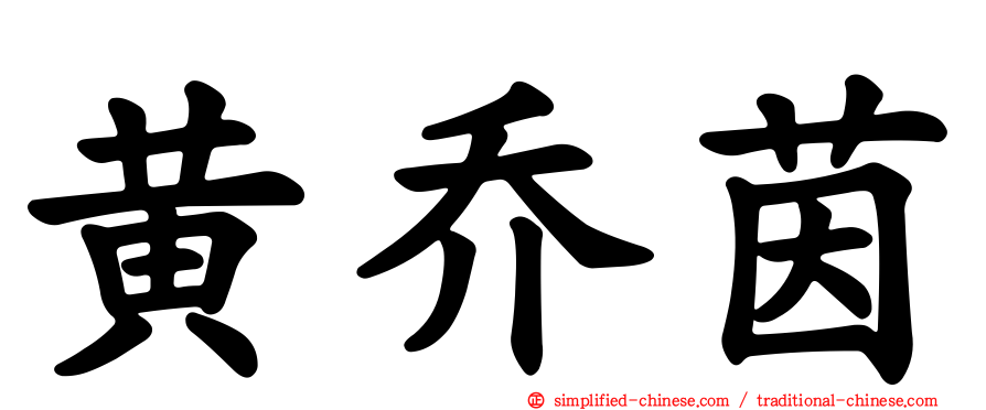 黄乔茵