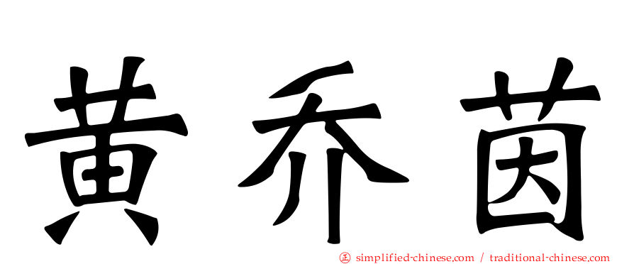 黄乔茵