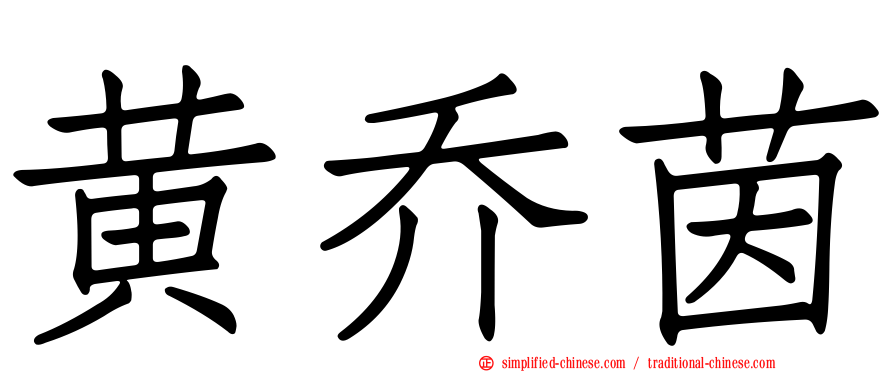 黄乔茵