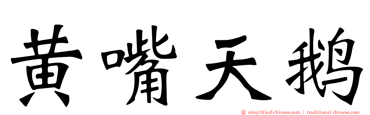 黄嘴天鹅