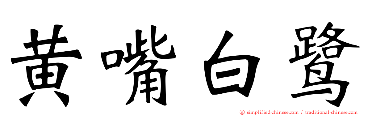 黄嘴白鹭