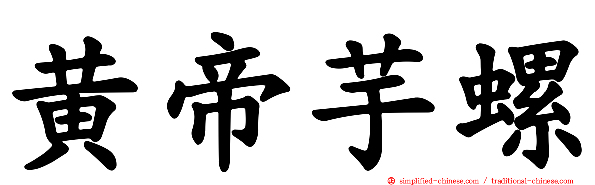黄帝芋螺