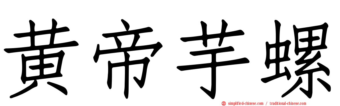 黄帝芋螺