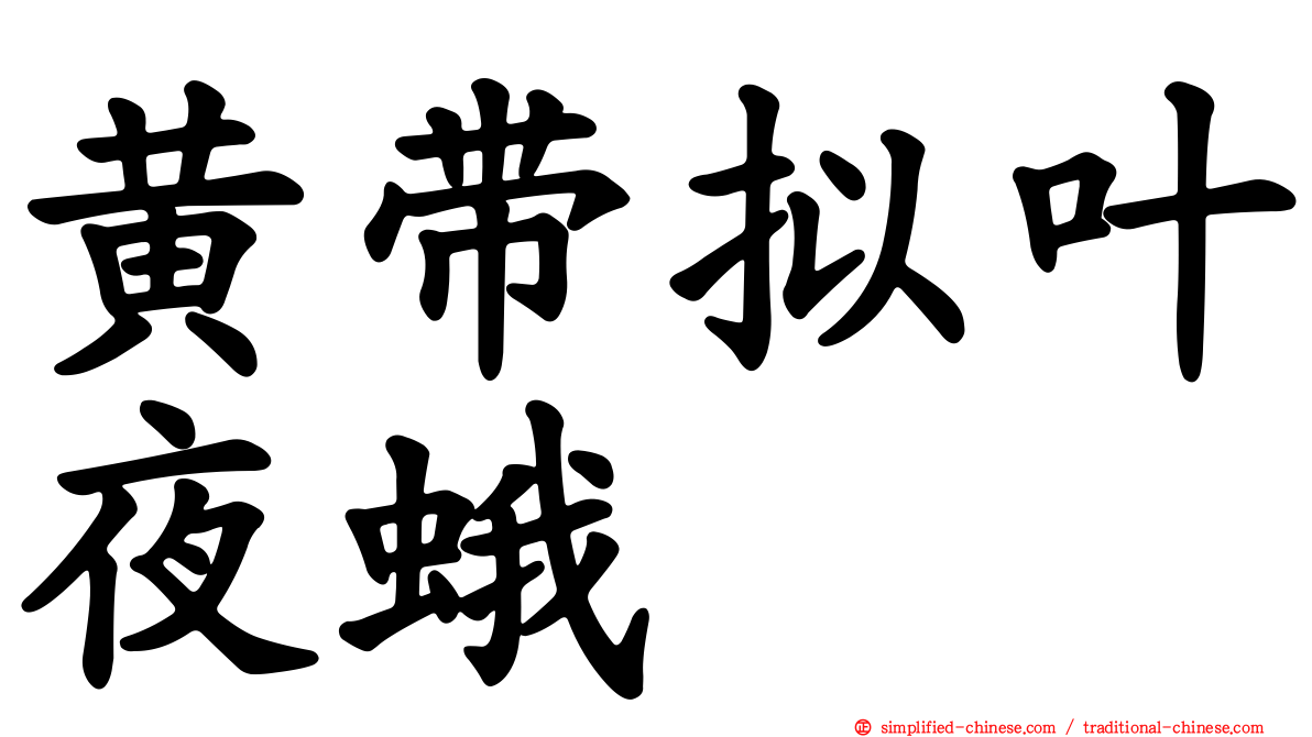 黄带拟叶夜蛾