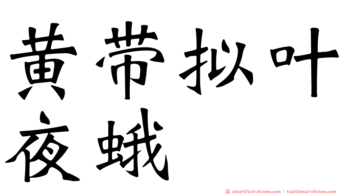 黄带拟叶夜蛾