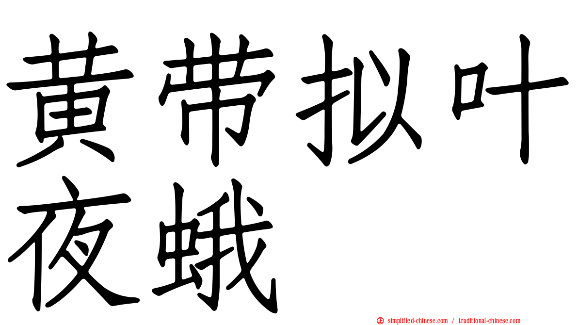 黄带拟叶夜蛾