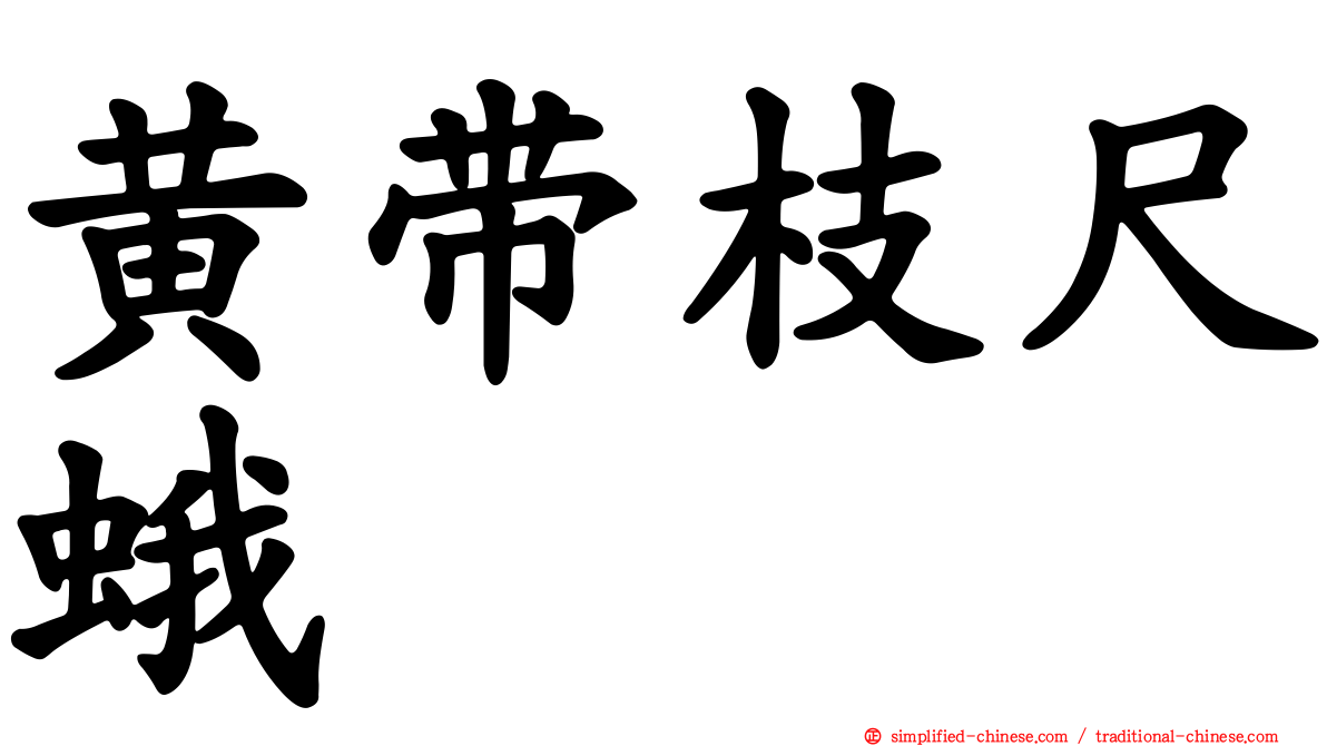 黄带枝尺蛾