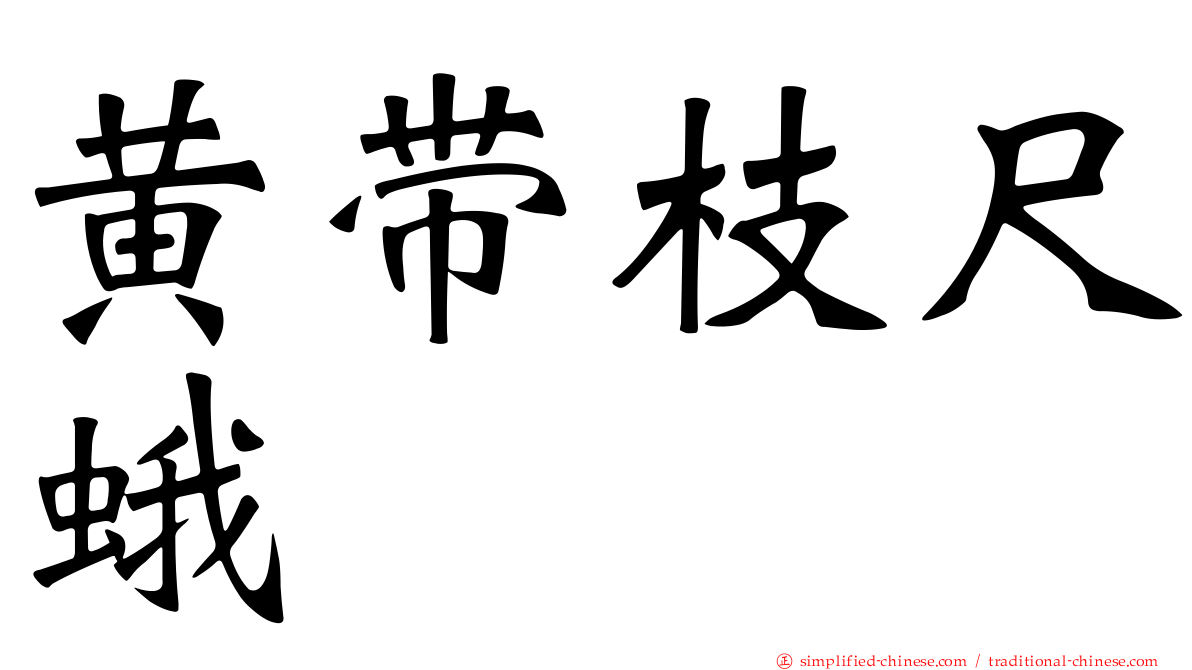 黄带枝尺蛾
