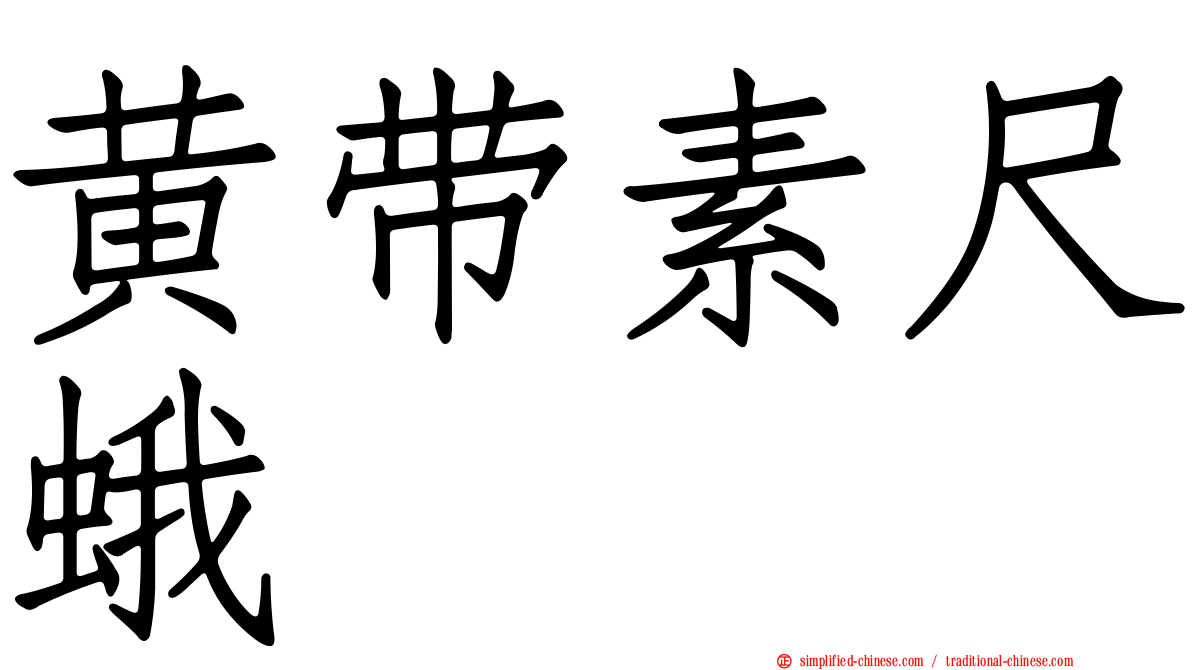 黄带素尺蛾