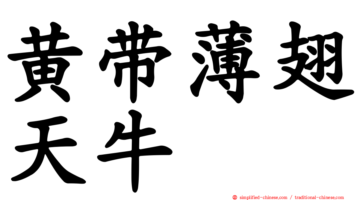 黄带薄翅天牛