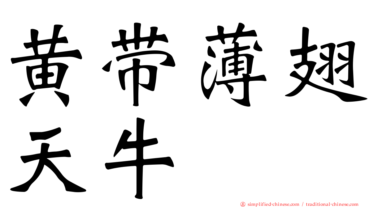 黄带薄翅天牛