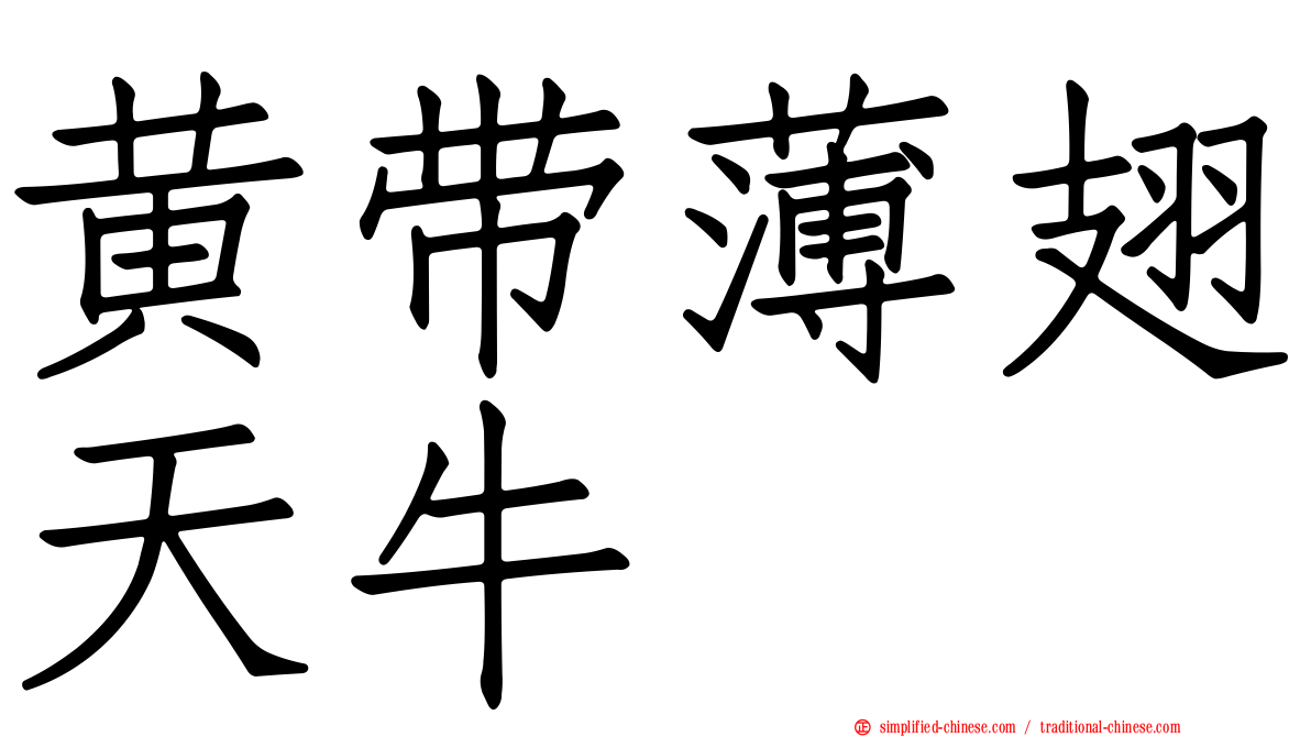 黄带薄翅天牛