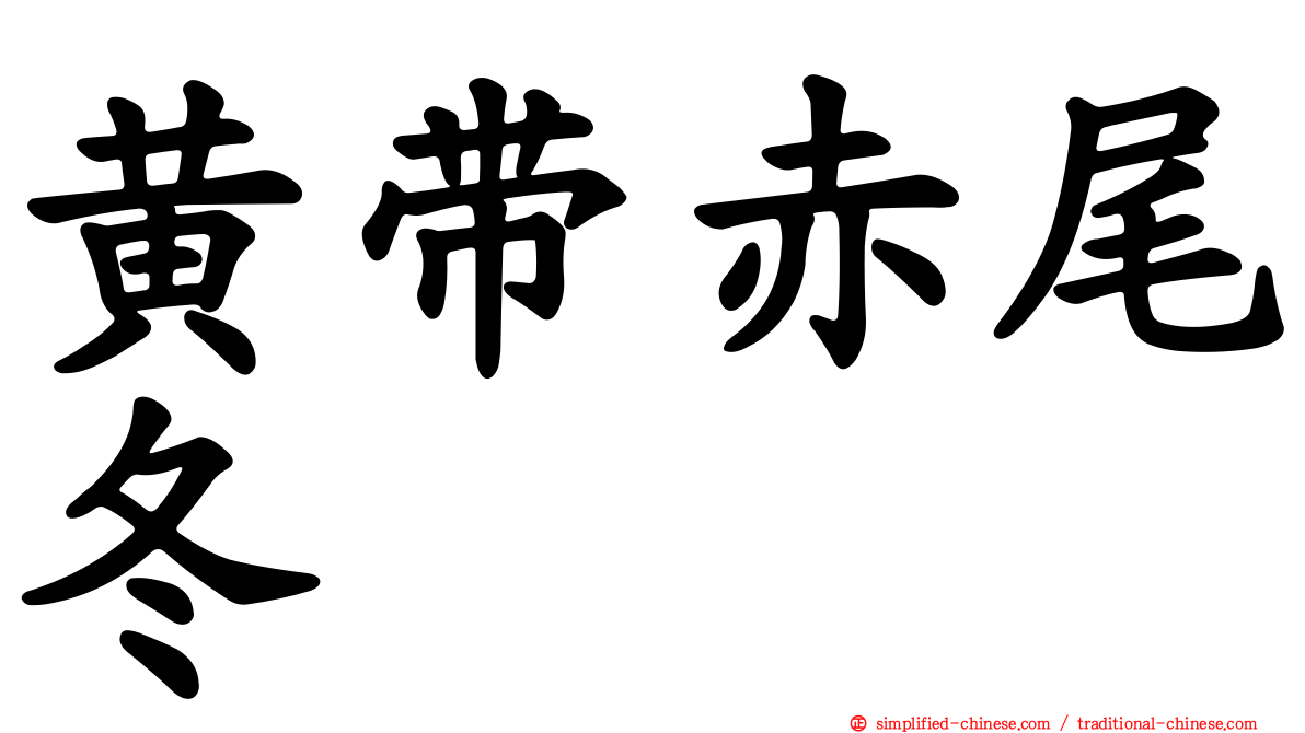 黄带赤尾冬