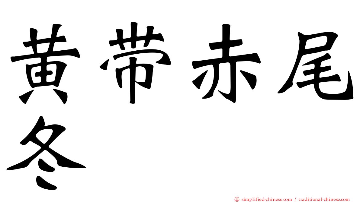 黄带赤尾冬
