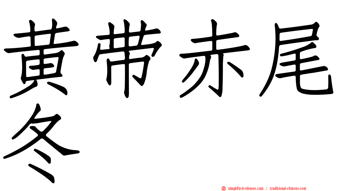 黄带赤尾冬