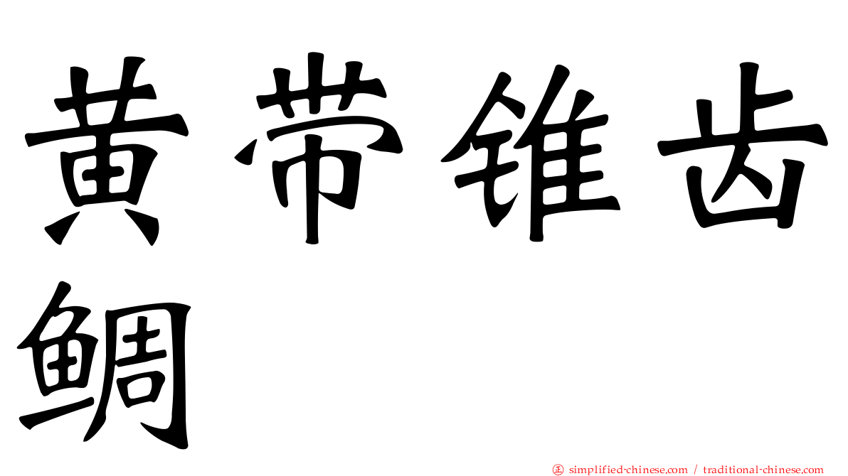 黄带锥齿鲷