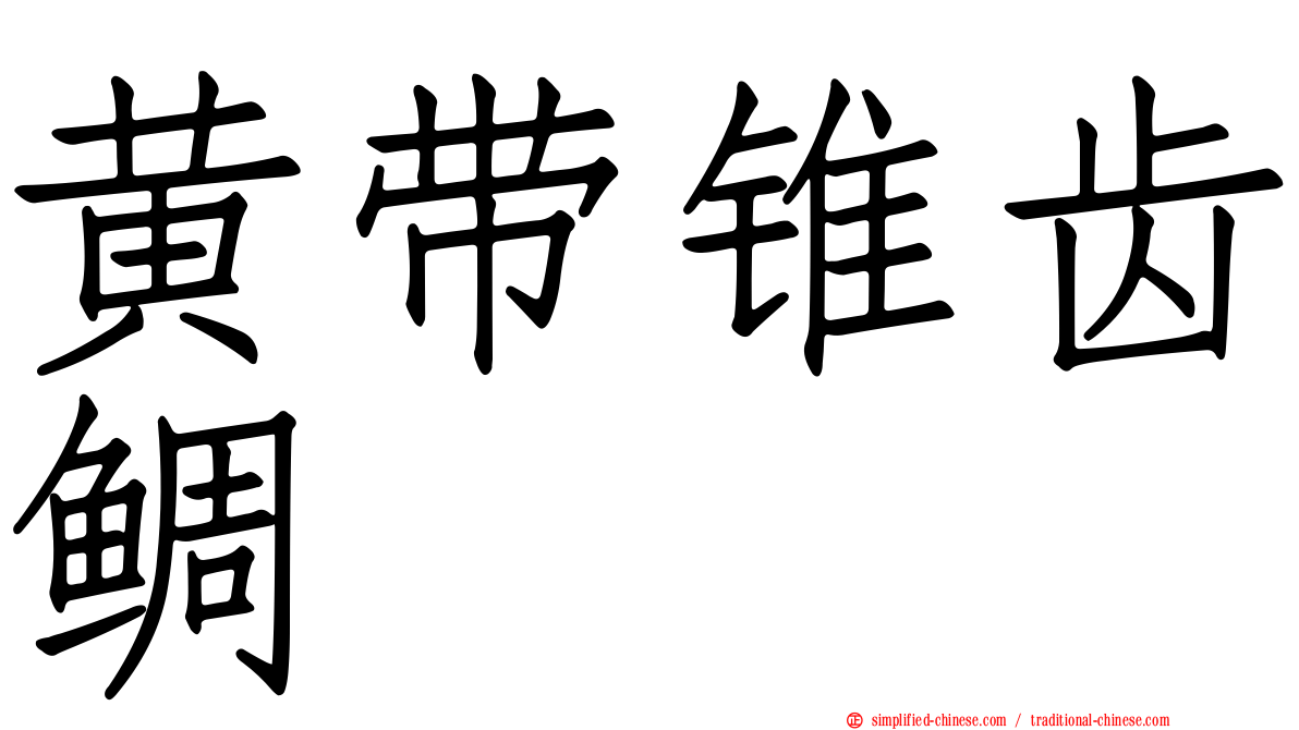 黄带锥齿鲷
