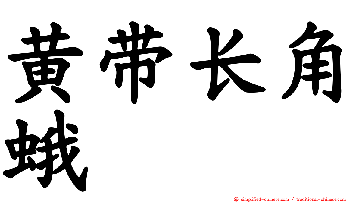 黄带长角蛾