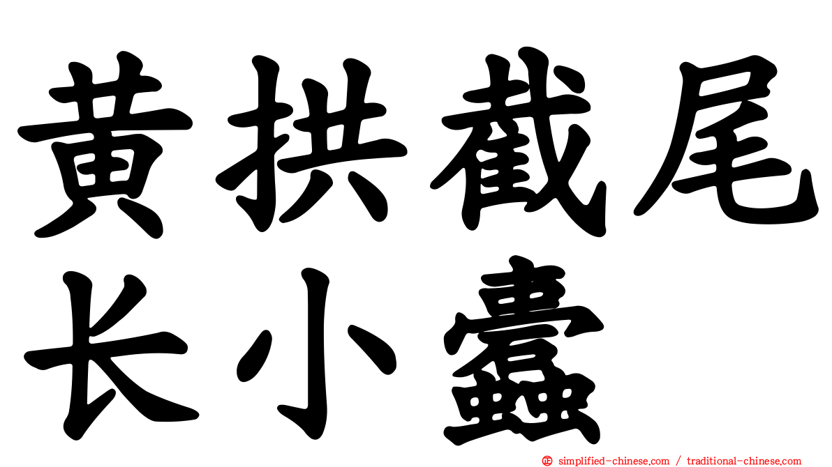 黄拱截尾长小蠹