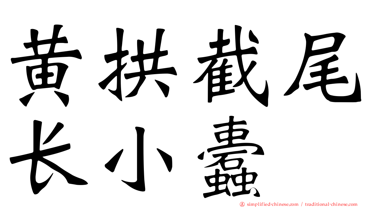 黄拱截尾长小蠹