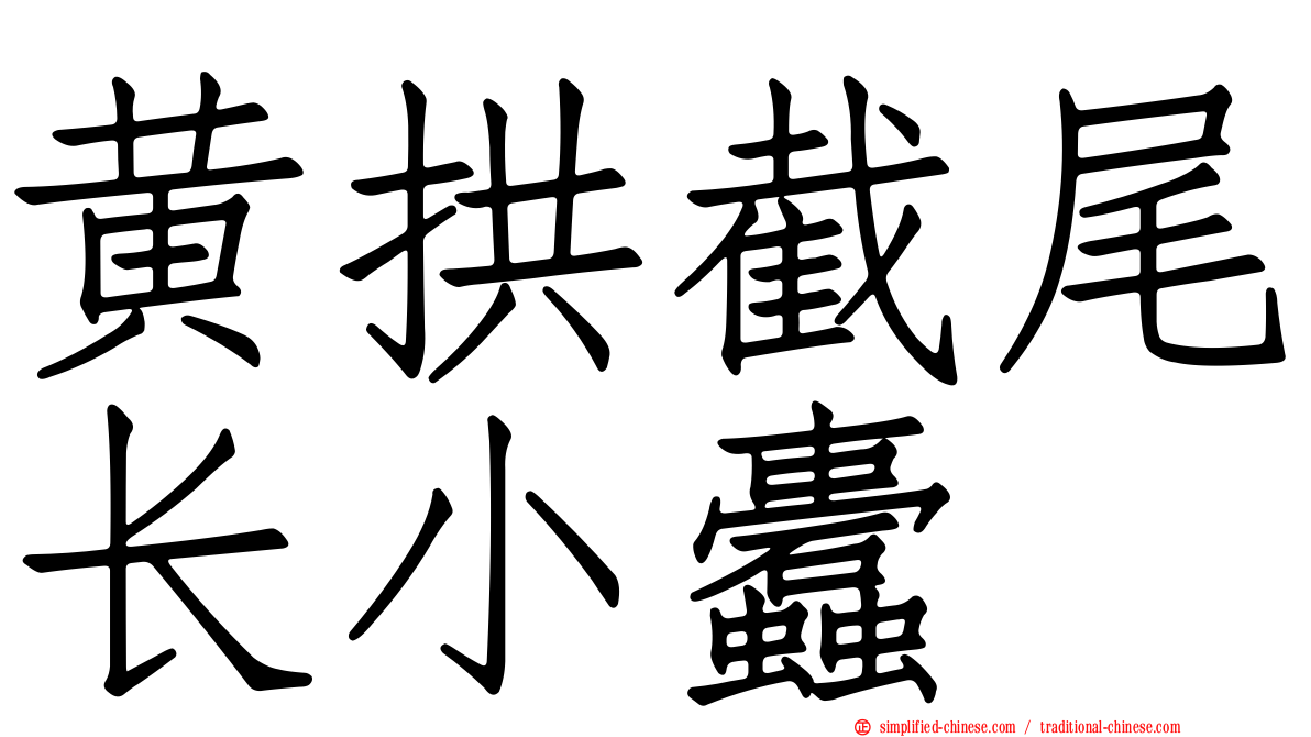 黄拱截尾长小蠹