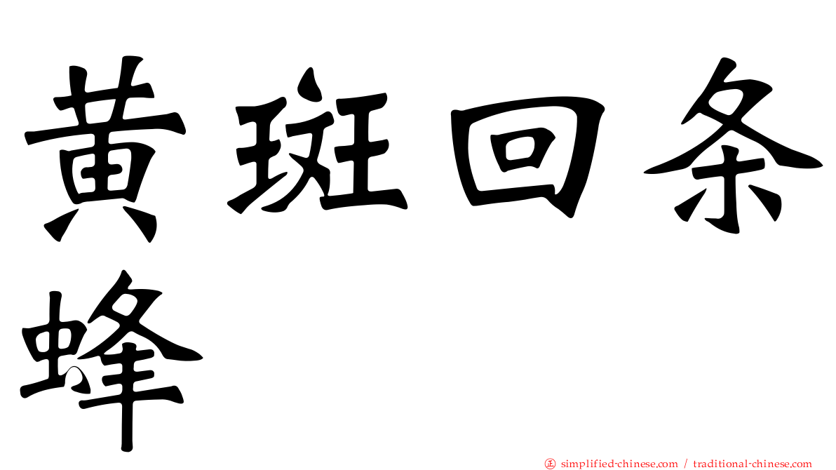 黄斑回条蜂